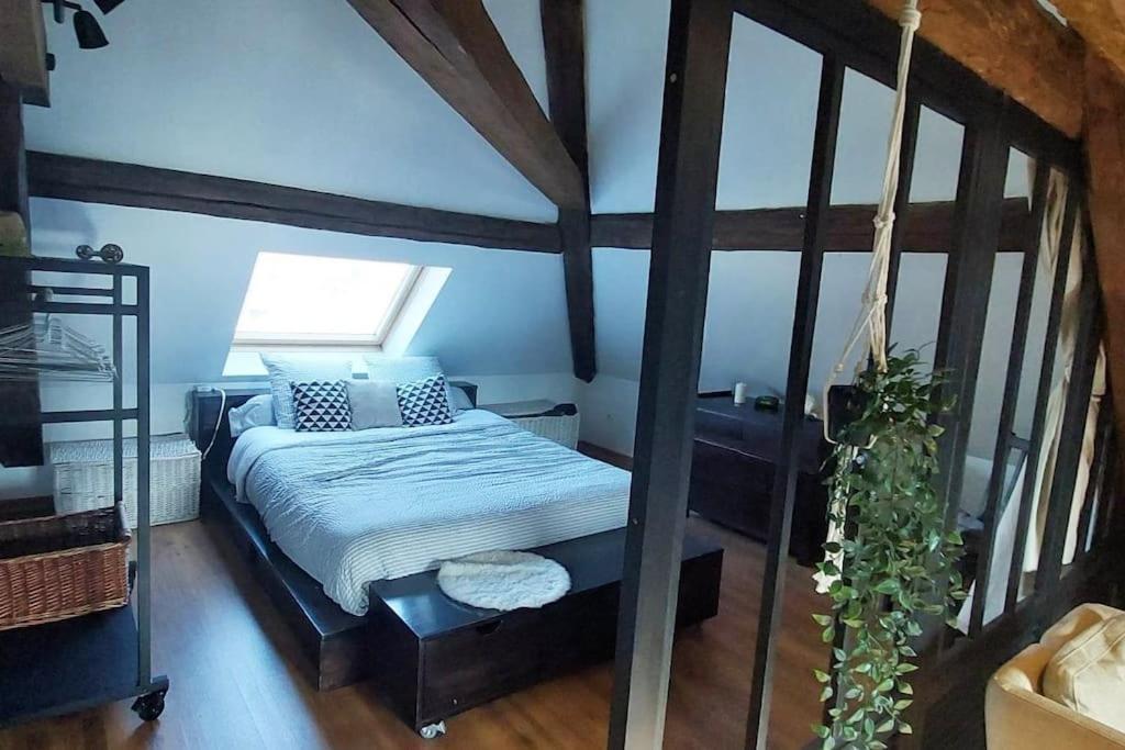 アルバール*New*Les Amandines Le Loft* Wifiアパートメント エクステリア 写真
